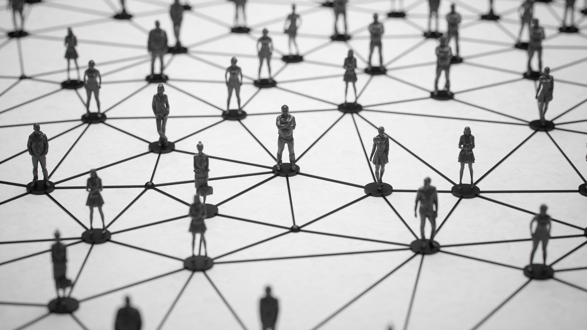 ウェブチーム編成 WEB Team